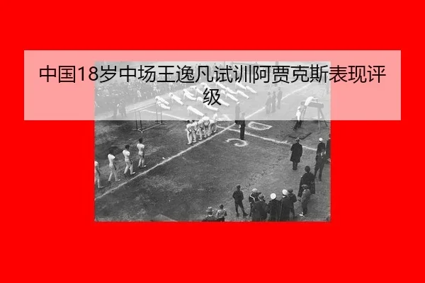 zhong-guo-sui-zhong-chang-wang-yi-fan-shi-xun-a-jia-ke-si-biao-xian-ping-ji-3-349.jpg